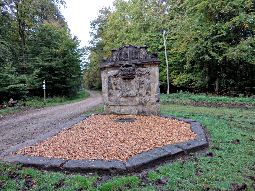 Bentheimerwald [11584] 19-okt-2014 (Bentheimerwald, Bad Bentheim).jpg - Bentheimerwald